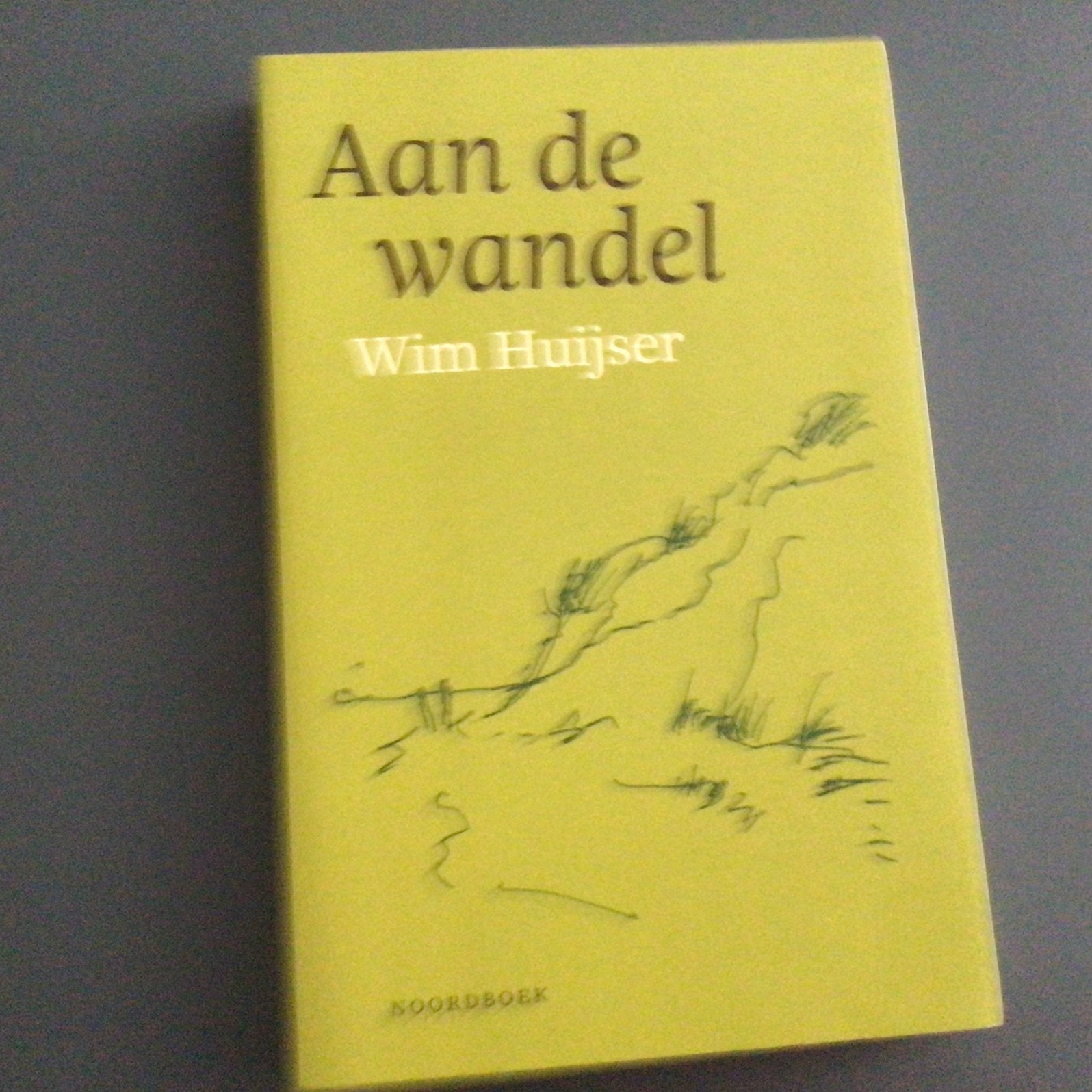 Wim Huijser - Aan de wandel, Wim Huijser, Ophalen of Verzenden, Zo goed als nieuw, Nederland