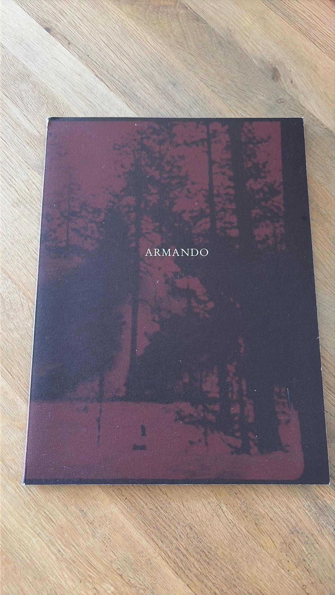 Armando; Pictor Pictura, Ophalen of Verzenden, Gelezen, Schilder- en Tekenkunst
