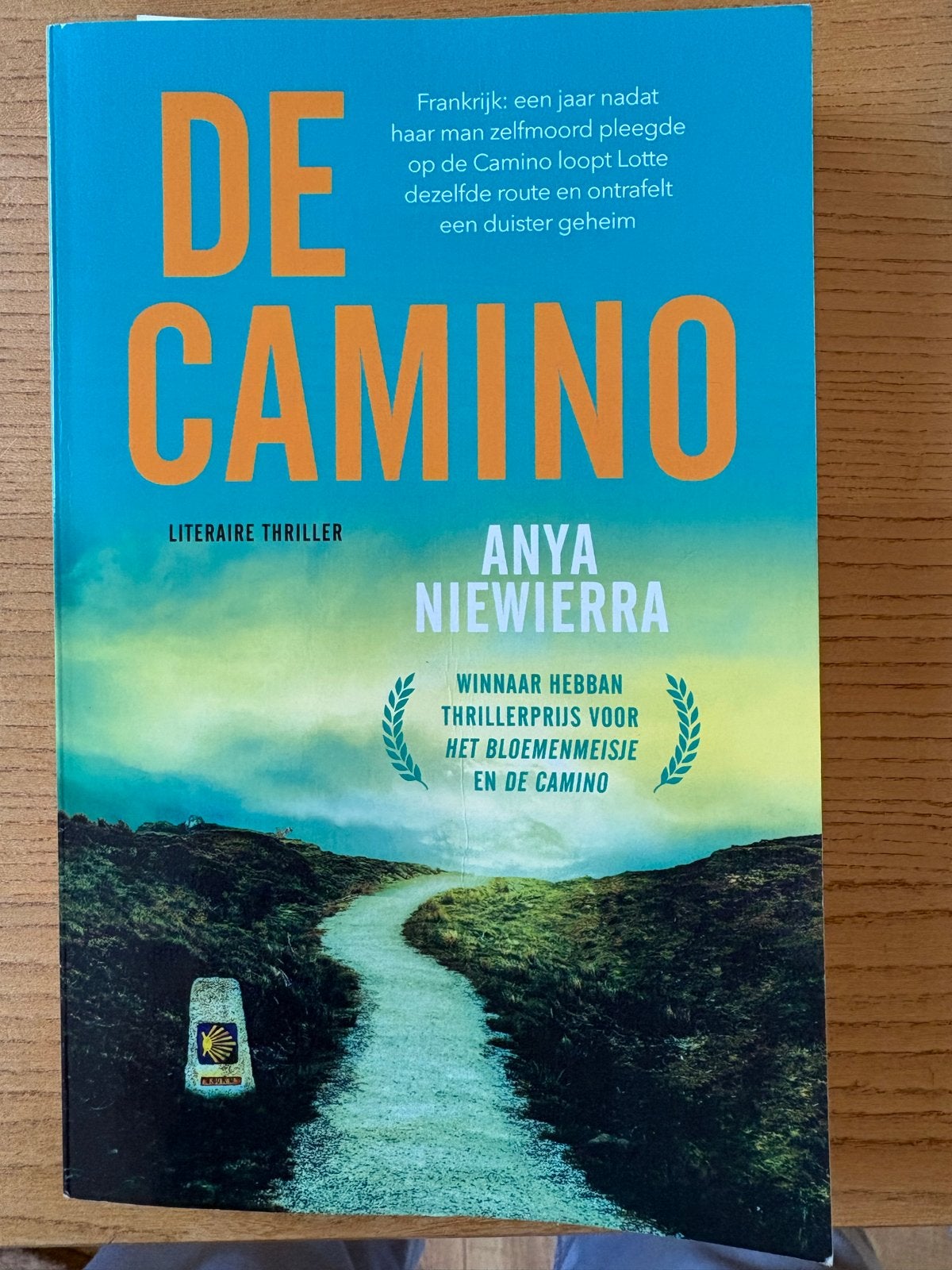 De Camino - Anya Niewierra (Literaire thriller), Boeken, Ophalen, Gelezen, Nederland