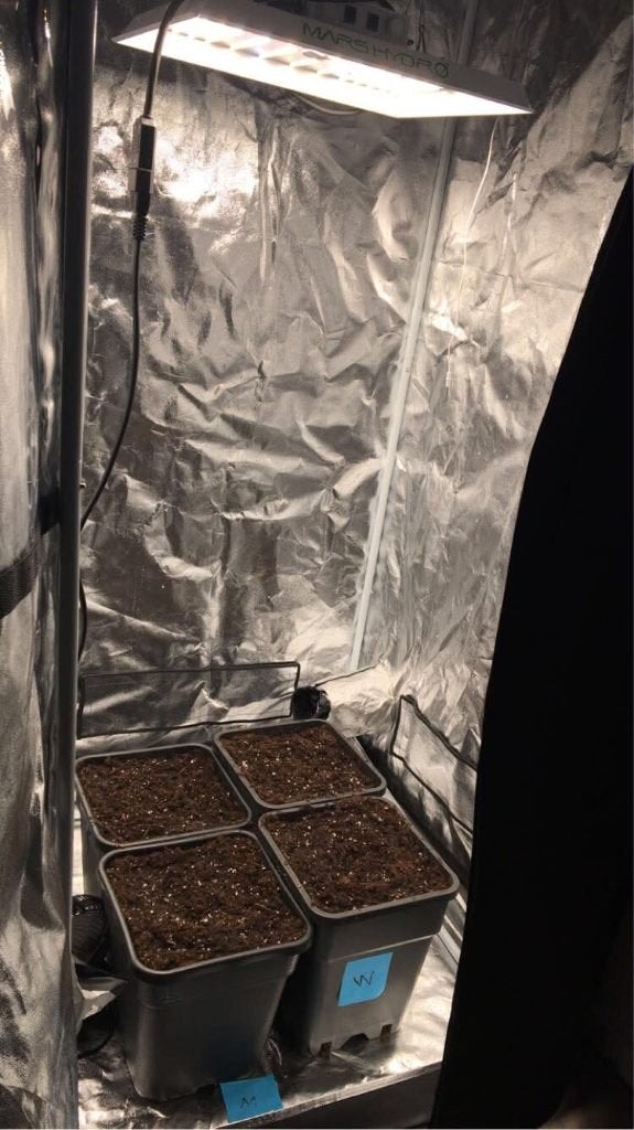 Growtent complete setup with Mars hydro led lamp, Ophalen of Verzenden, Kweektent