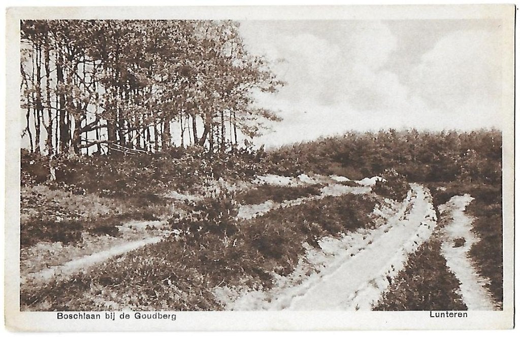 Lunteren Boschlaan bij de Goudberg Oude Ansichtkaart (B639), Ophalen of Verzenden, 1960 tot 1980, Ongelopen, Gelderland