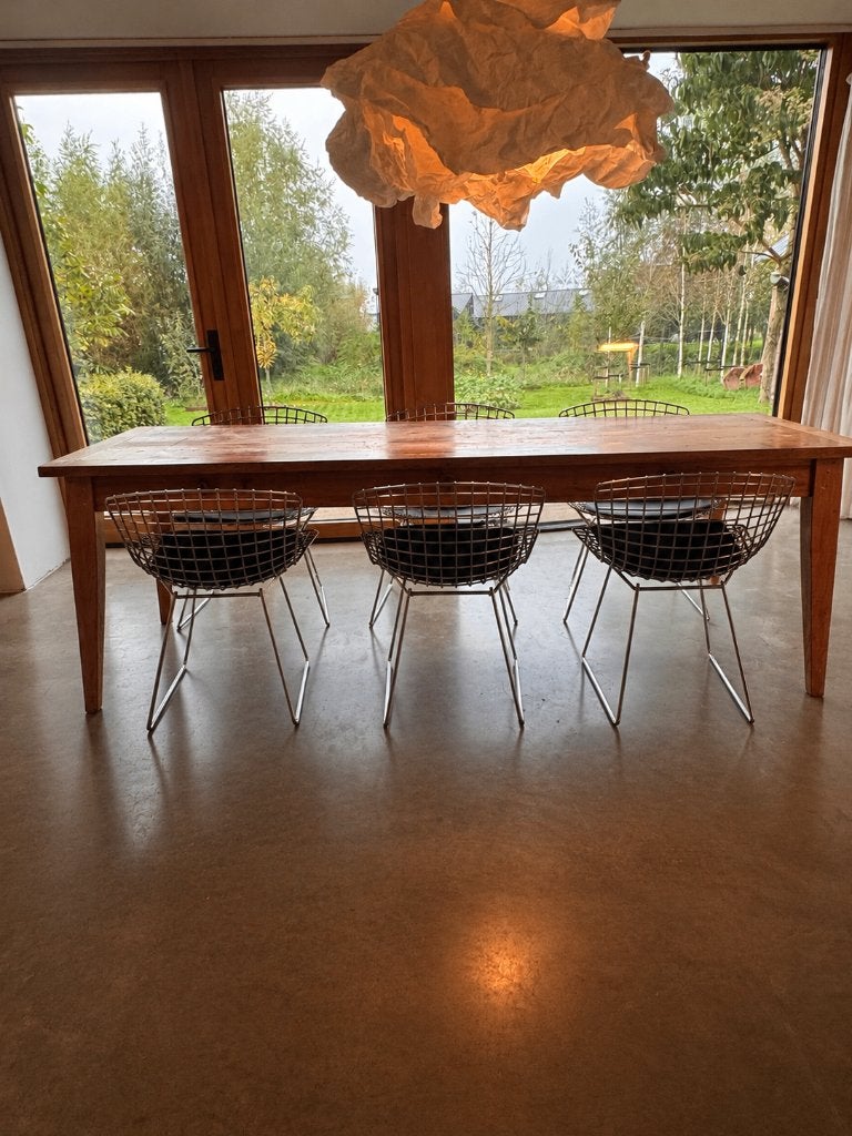 Knoll Bertoia stoel, Ophalen, Overige kleuren, Zo goed als nieuw, Metaal