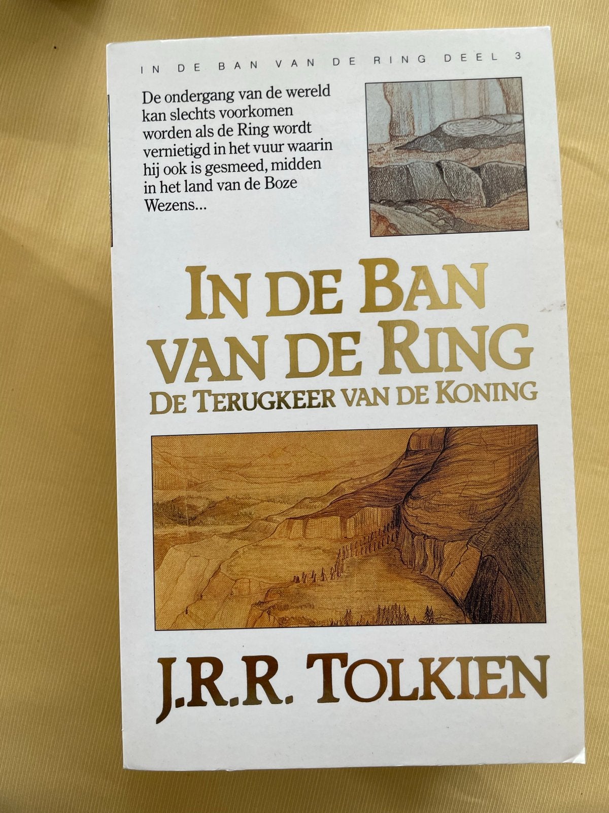 In de Ban van de Ring: De Terugkeer van de Koning, Ophalen of Verzenden, Nieuw