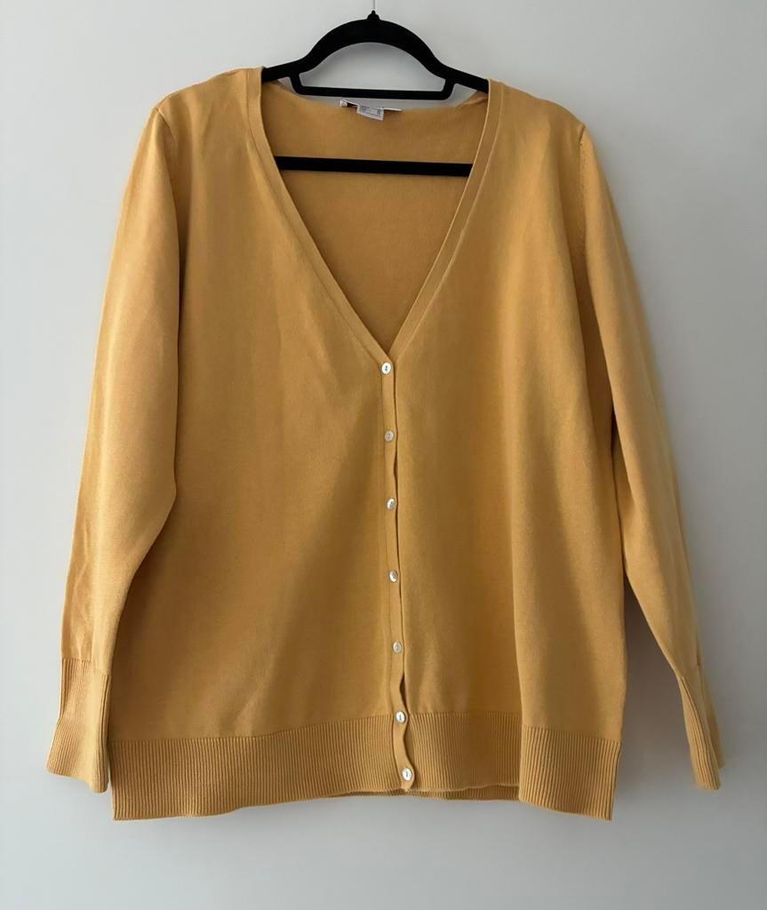 Fijngebreide vest in mosterd okergeel mt 46 Tesini / Heine, Geel, Maat 46/48 (XL) of groter, Ophalen of Verzenden, Zo goed als nieuw