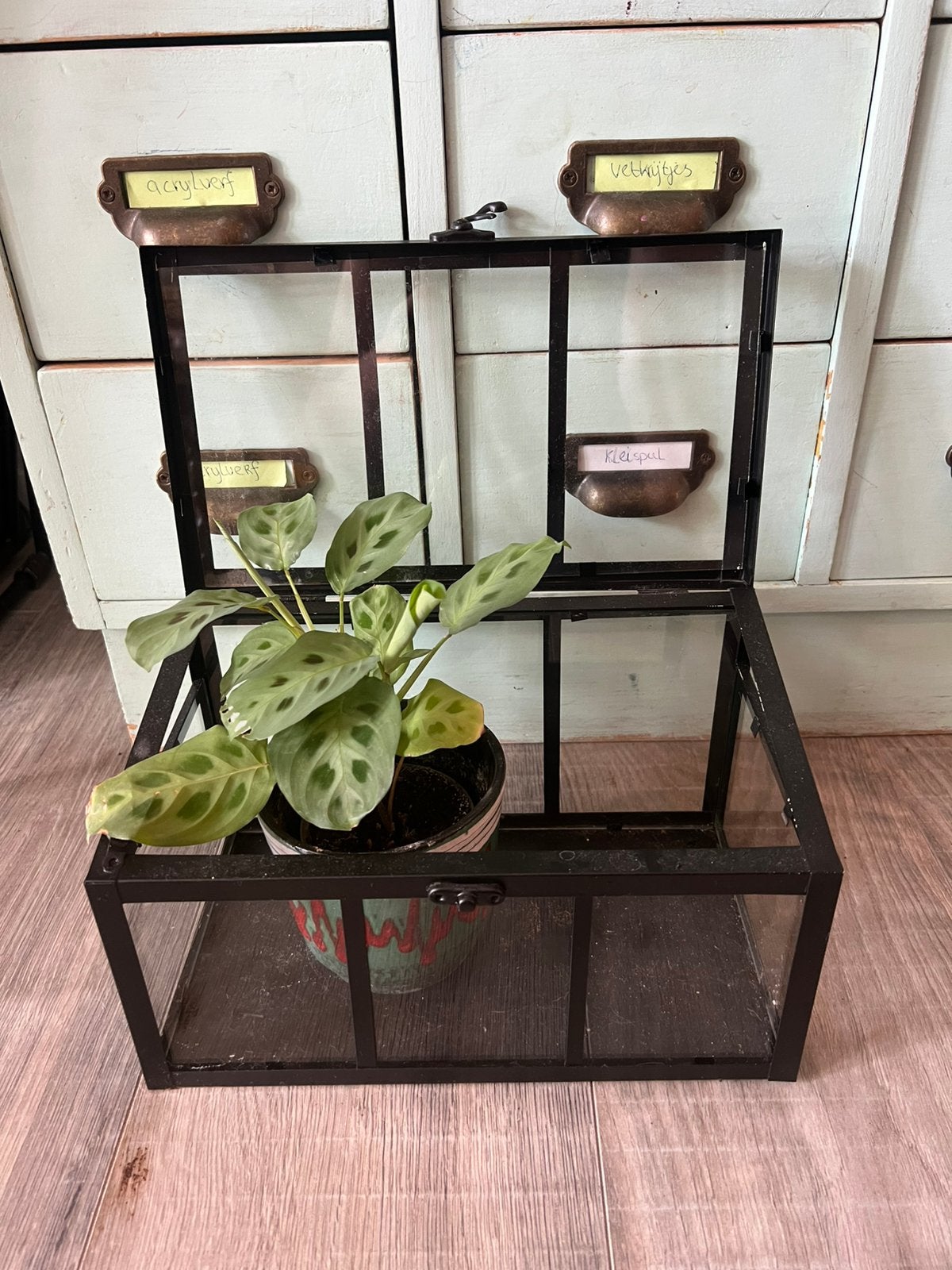 Vintage industieel plantenkasje kas vitrinekastje greenhouse, Tuin en Terras, Kassen, Kweekkas, Ophalen of Verzenden, Zo goed als nieuw