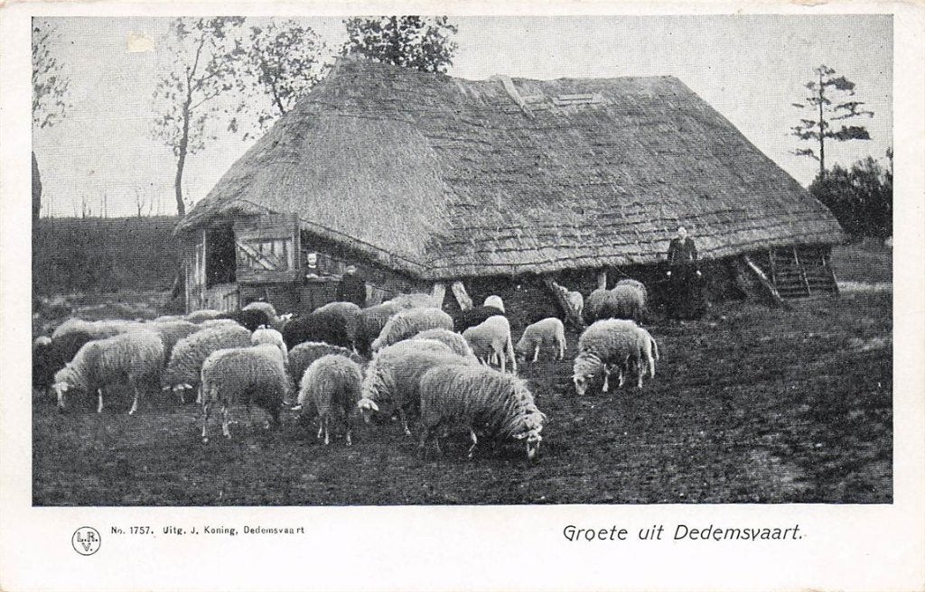 702-120-015 Dedemsvaart, Verzenden, Voor 1920, Overijssel