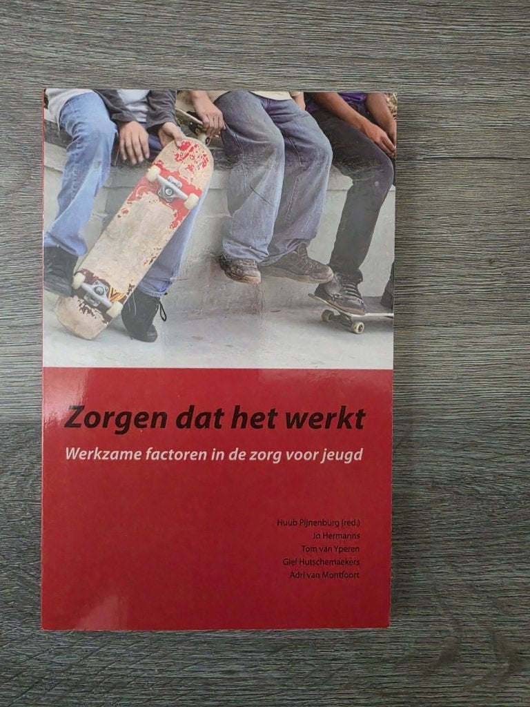 Zorgen dat het werkt - Pijnenburg e.a., Boeken, Ophalen of Verzenden, Gamma, Gelezen, HBO