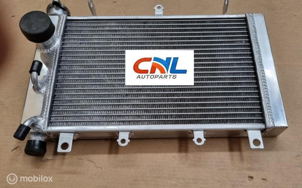 Radiateur for Triumph TT 600 TT600 2000-2003 01 02