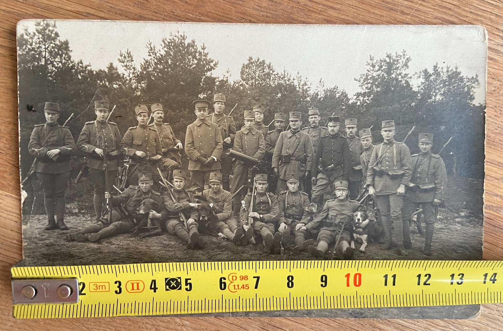 Or NL foto grenswacht WO1 militair wapen hond etc, Verzenden, Nederland, Embleem of Badge