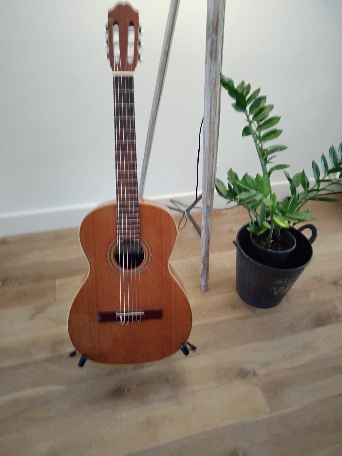 Juan Salvador 2, klassieke gitaar, Muziek en Instrumenten, Snaarinstrumenten | Gitaren | Akoestisch, Ophalen, Klassieke of Spaanse gitaar