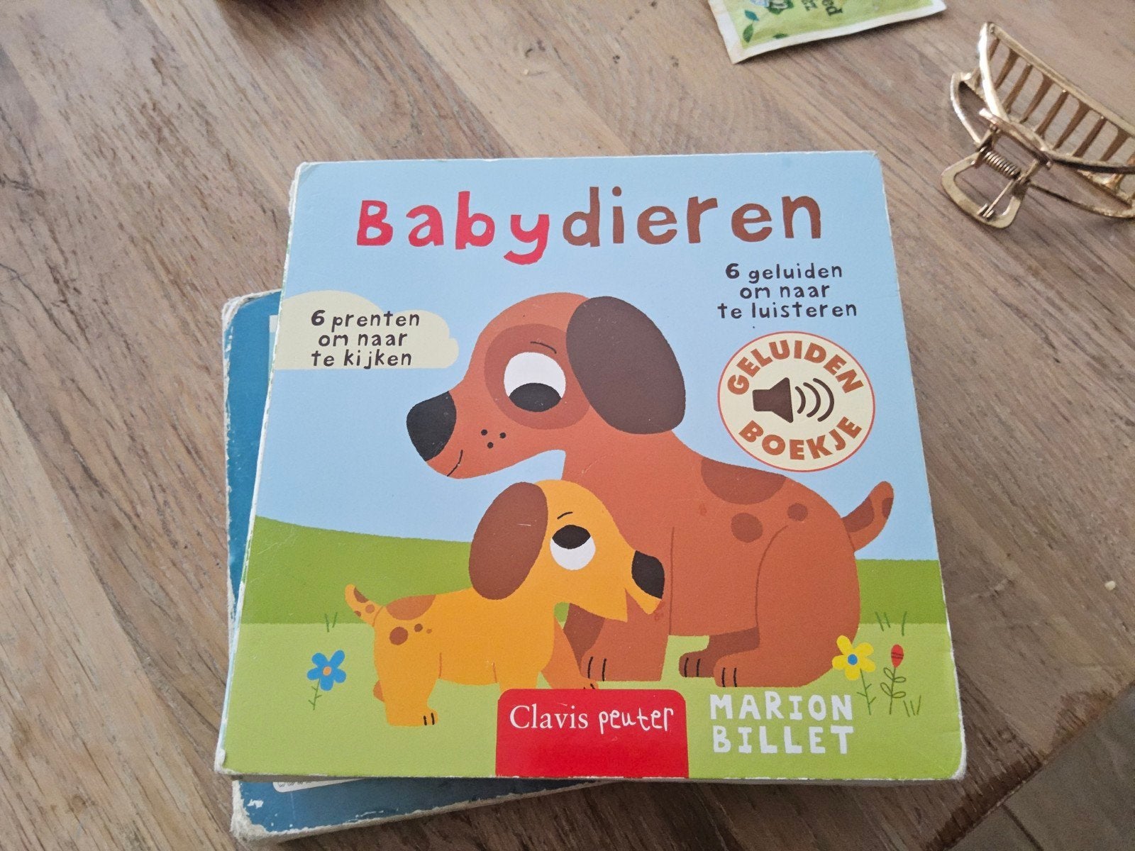 Baby Dieren Geluidenboekje - Marion Billet, Boeken, Kinderboeken | Baby's en Peuters, Ophalen of Verzenden, Zo goed als nieuw