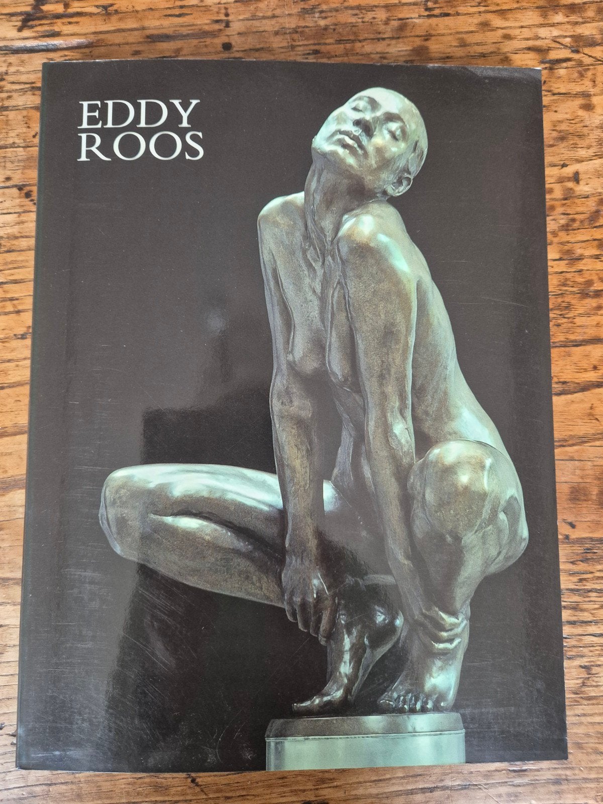 Boek Eddy Roos - Beeldhouwkunst, Ophalen of Verzenden, Zo goed als nieuw, Beeldhouwkunst, Eddy Roos