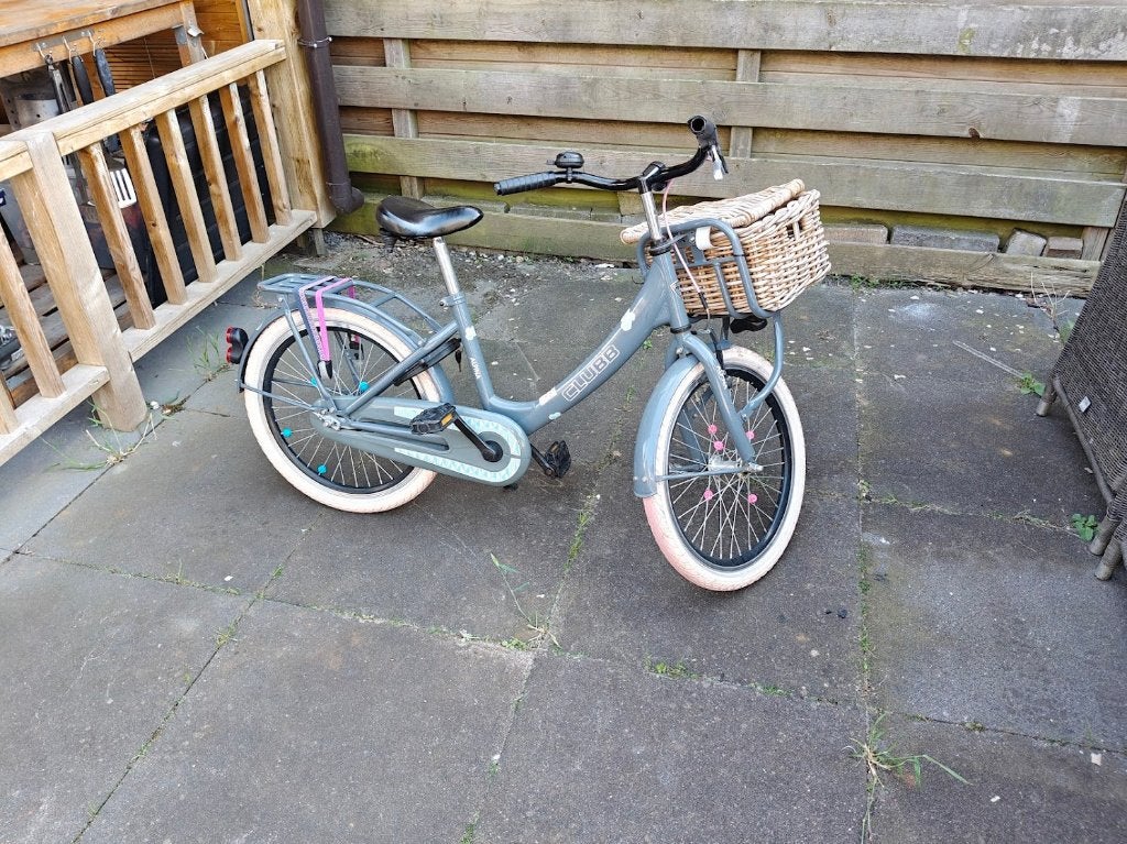 Meisjesfiets Alpina Clubb 20 inch, Ophalen, Terugtraprem, Gebruikt, Alpina