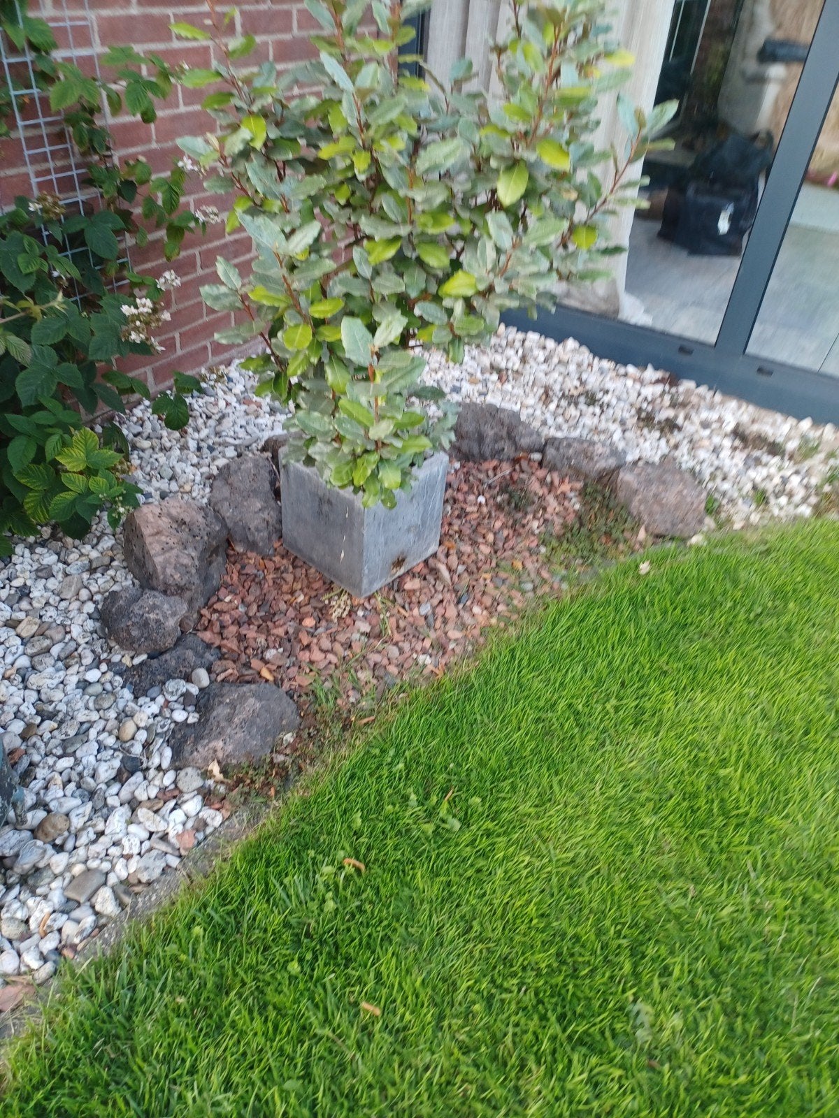 Diverse rotsen en keien voor tuin en landschap, Ophalen, Gebruikt, Kei, Basalt