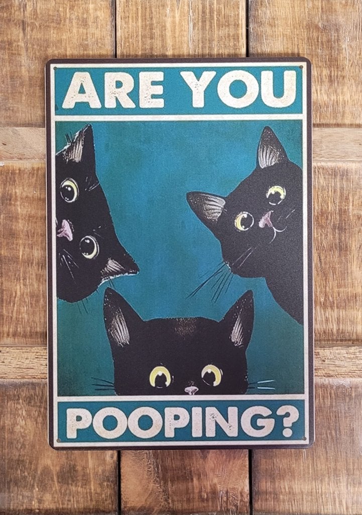 Are you pooping kat reclamebord van metaal wandbord deco, Info@deconoord.nl, Deco Noord, Nieuw, Ophalen of Verzenden
