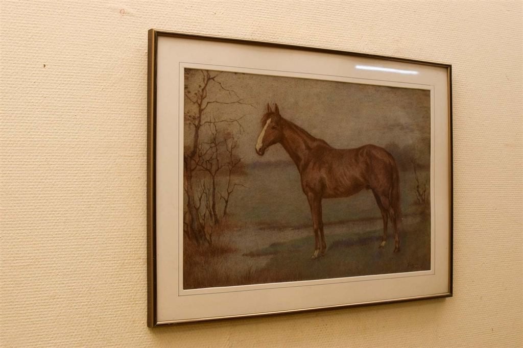 Prent/tekening van een paard 47763, Ophalen of Verzenden, Voor 1920, Ongelopen, Paard