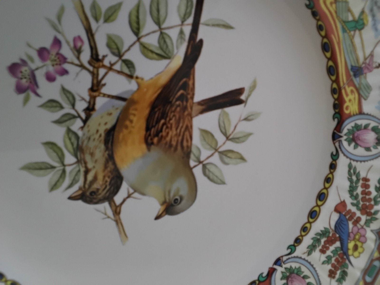 bord vogels, Ophalen of Verzenden