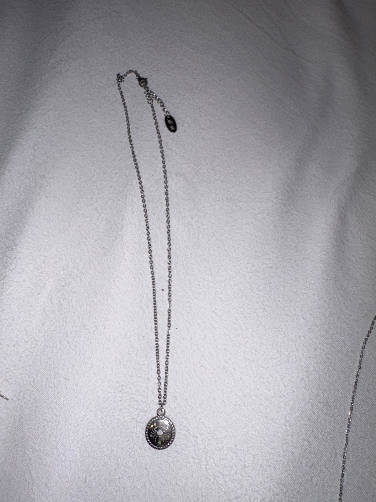 Nieuwe ketting sterrenbeeld Kreeft, Ophalen of Verzenden, Nieuw, Zilver, Met hanger