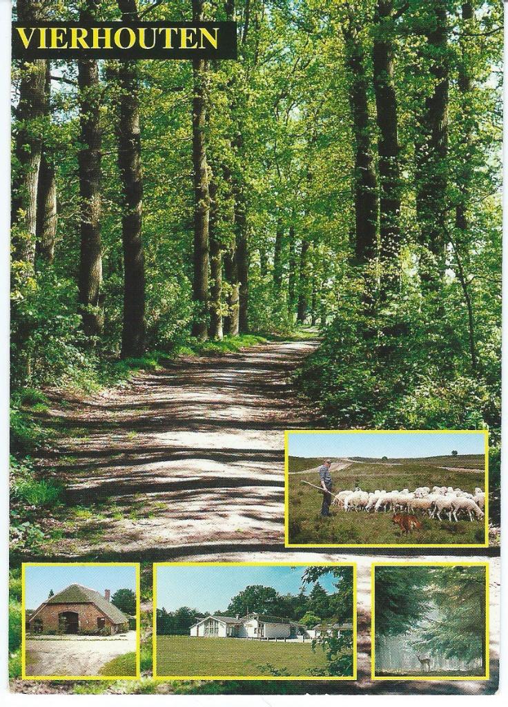 Ansichtkaart Vierhouten, Ophalen of Verzenden, 1980 tot heden, Gelopen, Gelderland