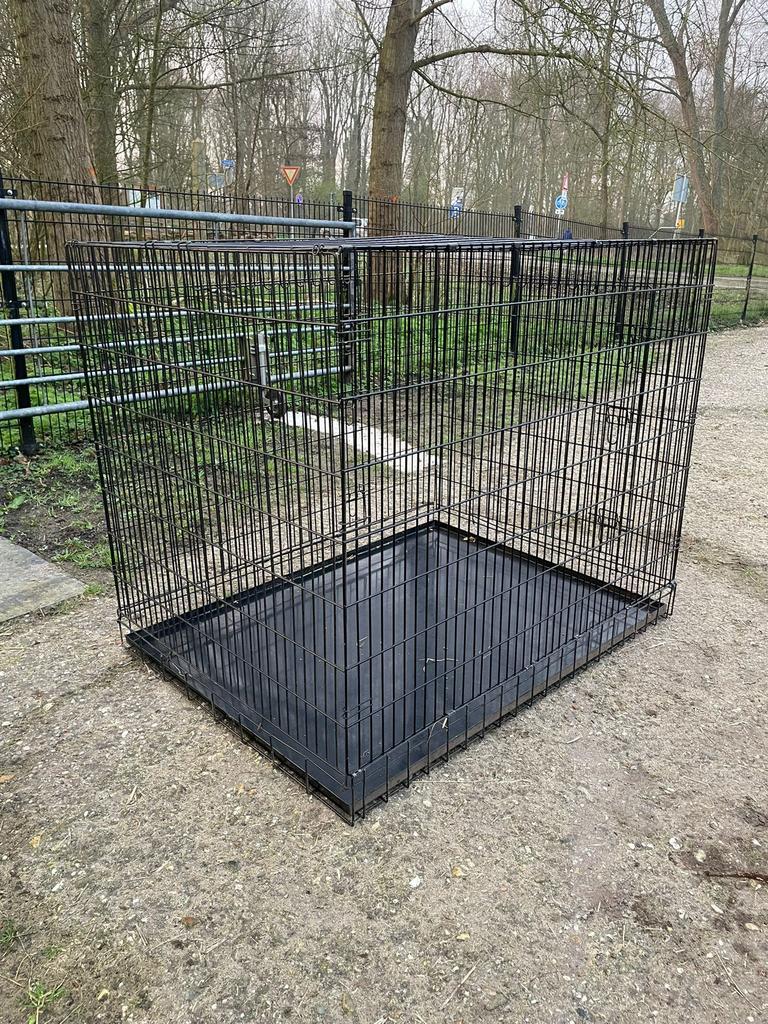 XL bench, Dieren en Toebehoren, Ophalen, Gebruikt