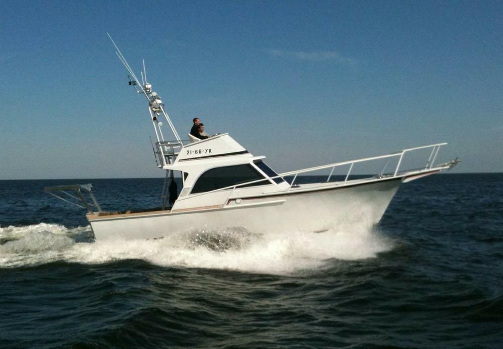 Striker Sport Fisher (bj 1967), Watersport en Boten, Gebruikt