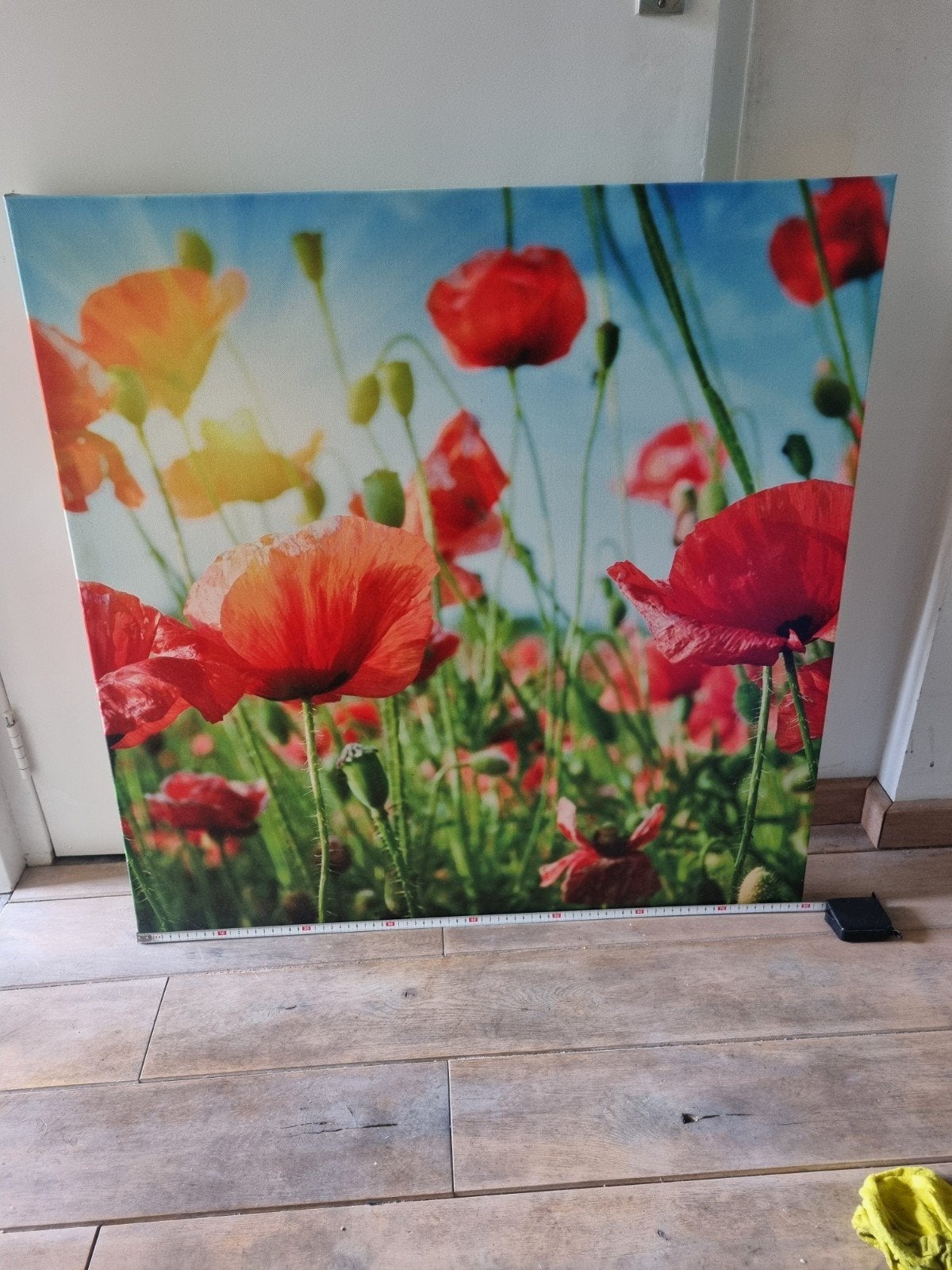 Canvas Schilderij Klaprozen - Levendige Bloemenprint, Ophalen, Zo goed als nieuw, 75 tot 100 cm, Print