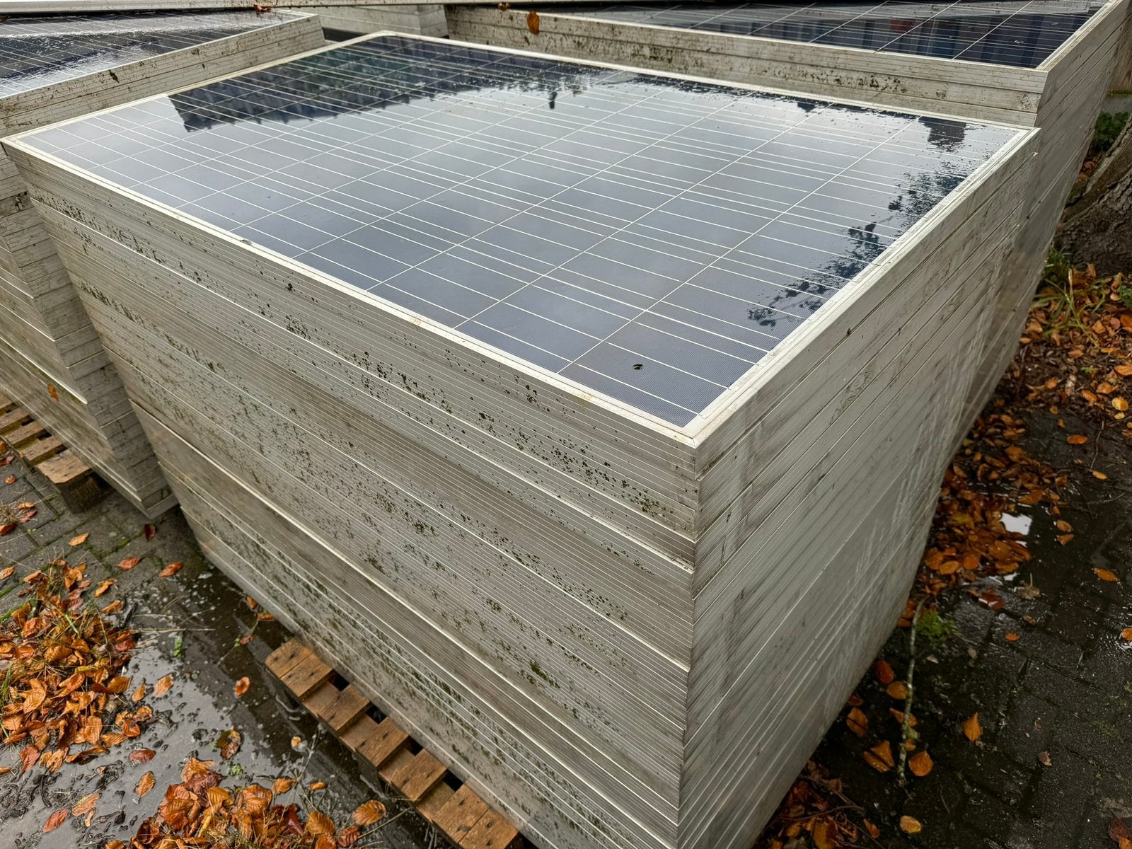 120 Renesola zonnepanelen 250Wp–werkend–165  99 cm, Ophalen of Verzenden, Gebruikt, Paneel, 200 wattpiek of meer