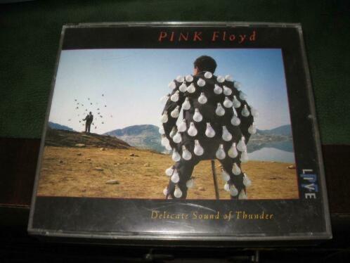 Pink Floyd – Delicate Sound of Thunder -, Cd's en Dvd's, Cd's | Rock, Ophalen of Verzenden, Zo goed als nieuw, Poprock