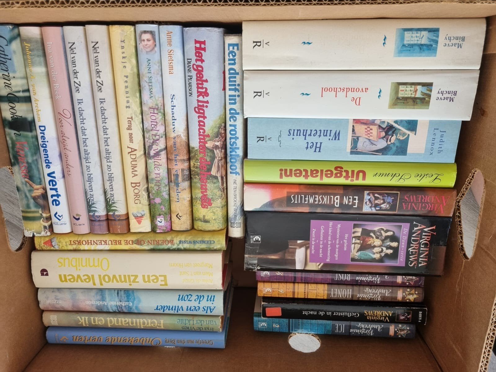 Dozen vol boeken - Bieden per doos of losse verkoop, Boeken, Ophalen of Verzenden