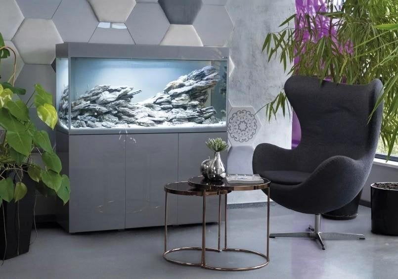 grote collectie aquaria in staat in de winkel, kom kijken, Ophalen, Nieuw, Leeg aquarium