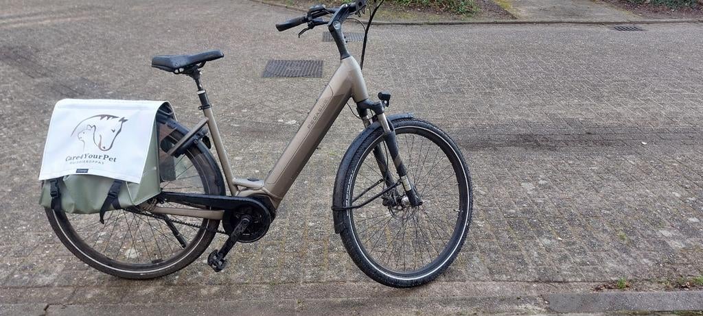 Pegasus Ravenna EVO7f belt damesfiets, Fietsen en Brommers, Elektrische fietsen, Gebruikt, Overige merken, 47 tot 51 cm, 50 km per accu of meer