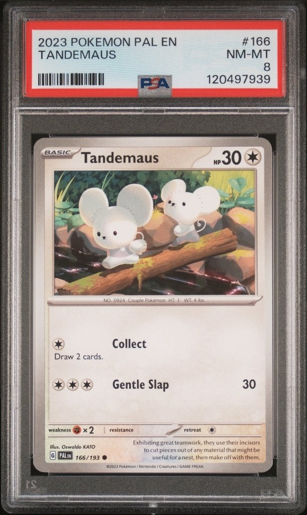 Pokemon Tandemaus Pal EN-Paldea Evolved PSA 8, Ophalen of Verzenden, Zo goed als nieuw, Losse kaart