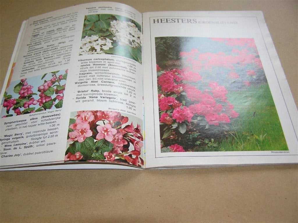 Inge Manz - Kamerplanten en hun verzorging, Gelezen, Ophalen of Verzenden, Tuinieren en Tuinplanten, Inge Manz