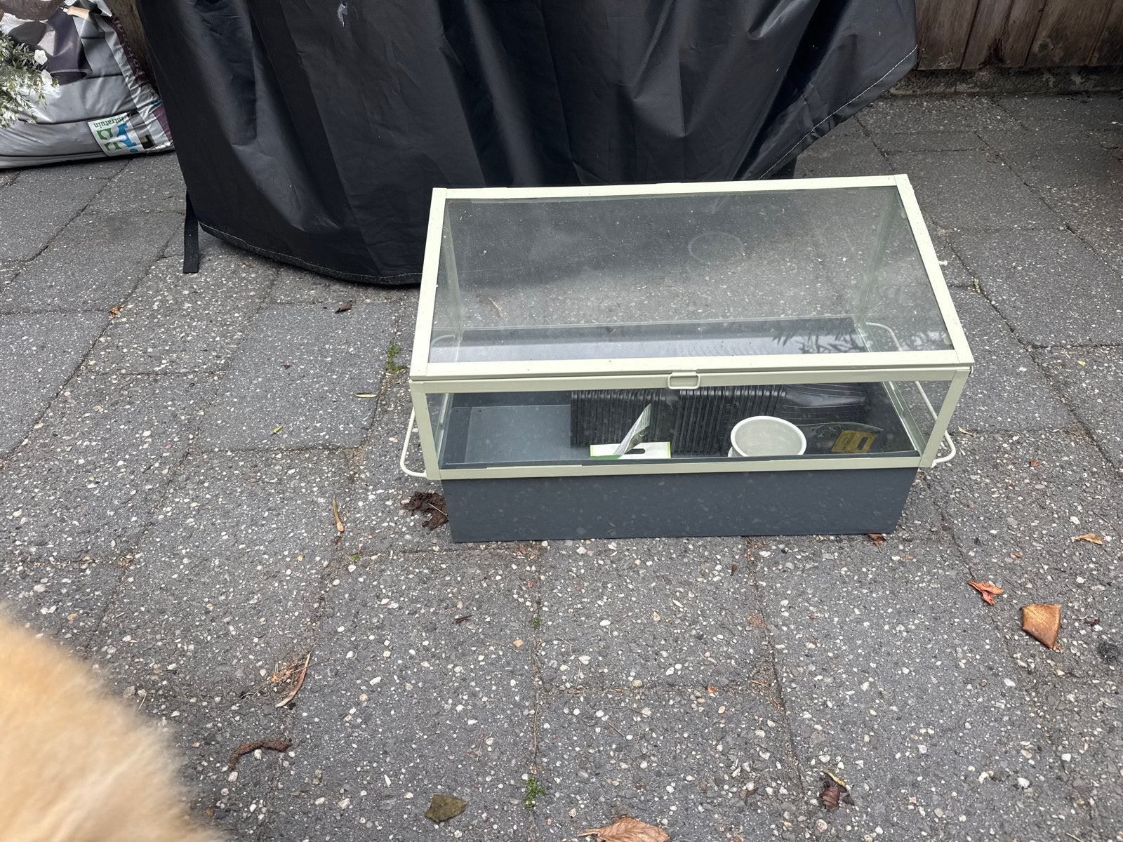 Kweekbak met accessoires, Tuin en Terras, Kweekspullen, Zo goed als nieuw, Kweekbak, Ophalen of Verzenden