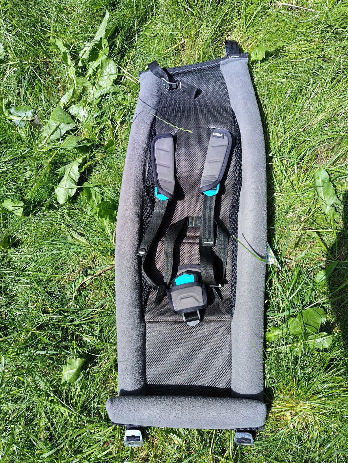 Thule Chariot infant sling hangmat voor fietskar, Fietsen en Brommers, Fietsaccessoires | Aanhangers en Karren, Ophalen, Zo goed als nieuw