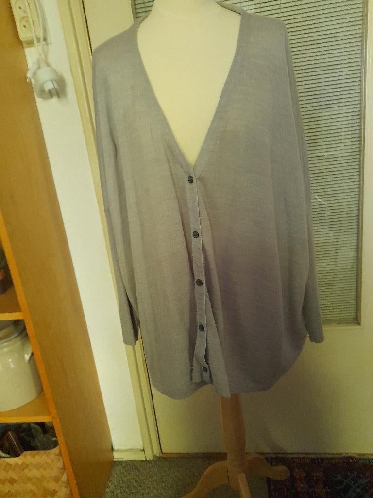Acne studios vest, Kleding | Dames, Acne studios, Ophalen of Verzenden, Gedragen, Grijs