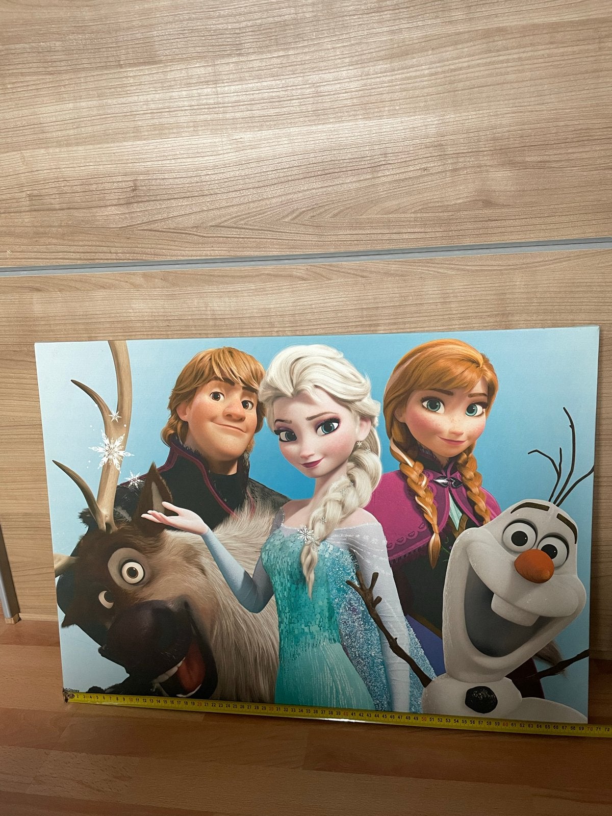 Frozen canvas schilderij 70x50 cm, Ophalen, 5 – 50, 50 tot 75 cm, Print
