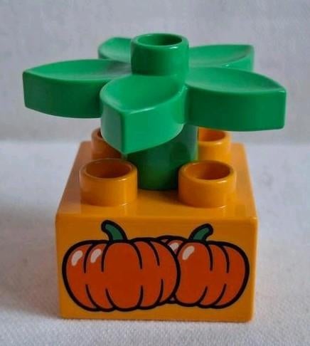 Duplo pompoen, Ophalen of Verzenden, Zo goed als nieuw, Losse stenen, Duplo