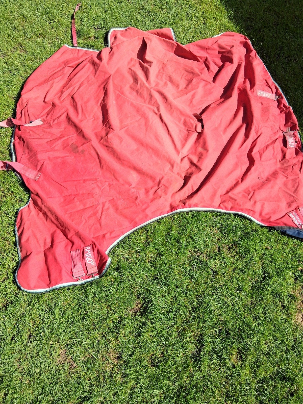 Regendekens Amigo, Dieren en Toebehoren, Ophalen, Gebruikt