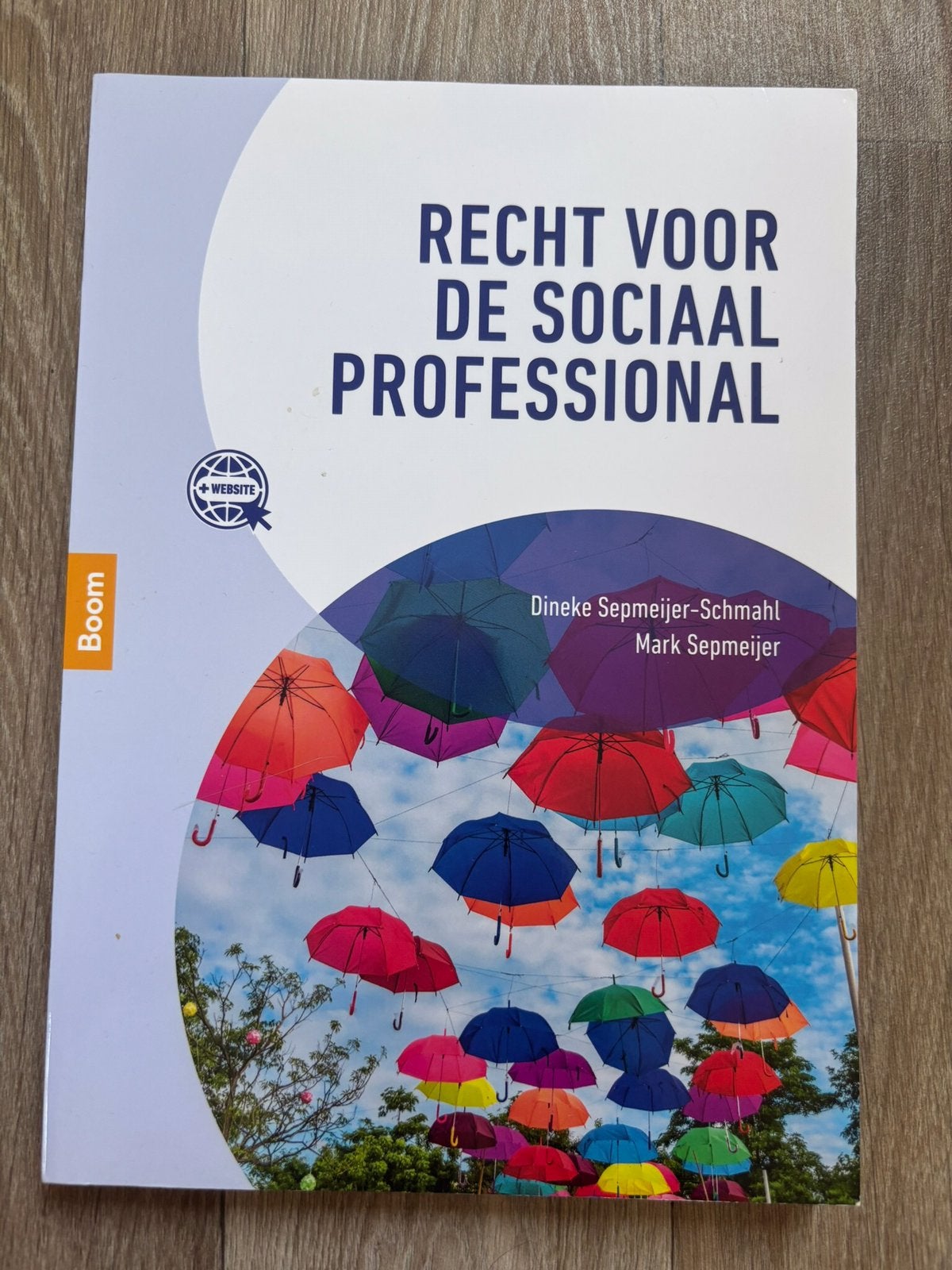 Recht voor de sociaal professional, Boeken, Nieuw, Alpha, Dineke Sepmeijer-Schmahl; Mark Sepmeijer, HBO