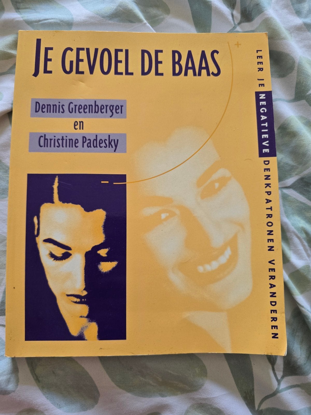 Je Gevoel De Baas, Boeken, Ophalen of Verzenden
