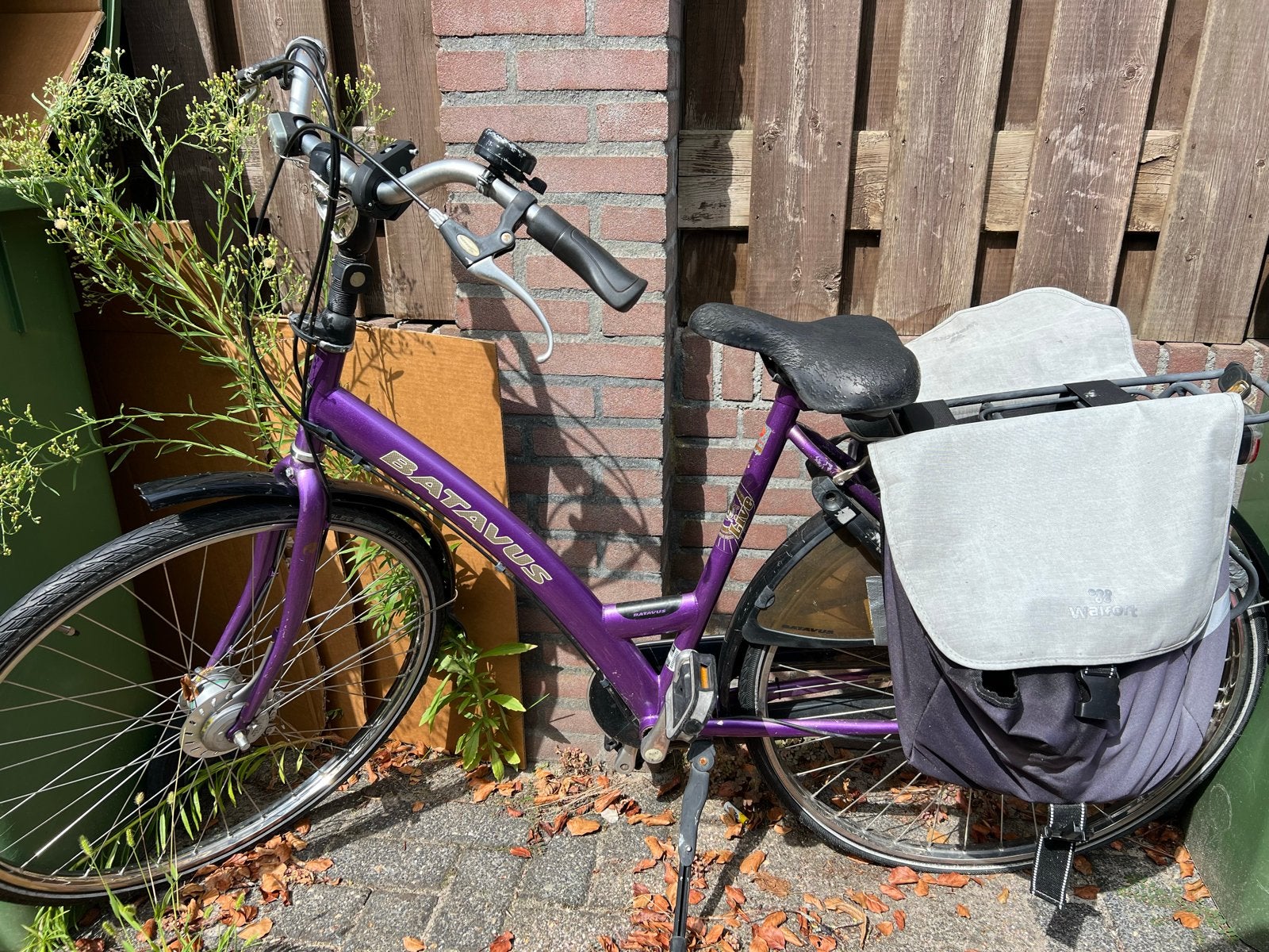 Batavus damesfiets paars met versnellingen, Ophalen, Velgrem, Batavus, 53 tot 56 cm