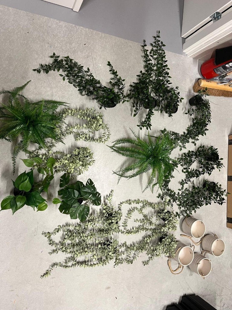 IKEA nepplanten + 4x potten, Ophalen of Verzenden, Overige soorten, Halfschaduw, Minder dan 100 cm