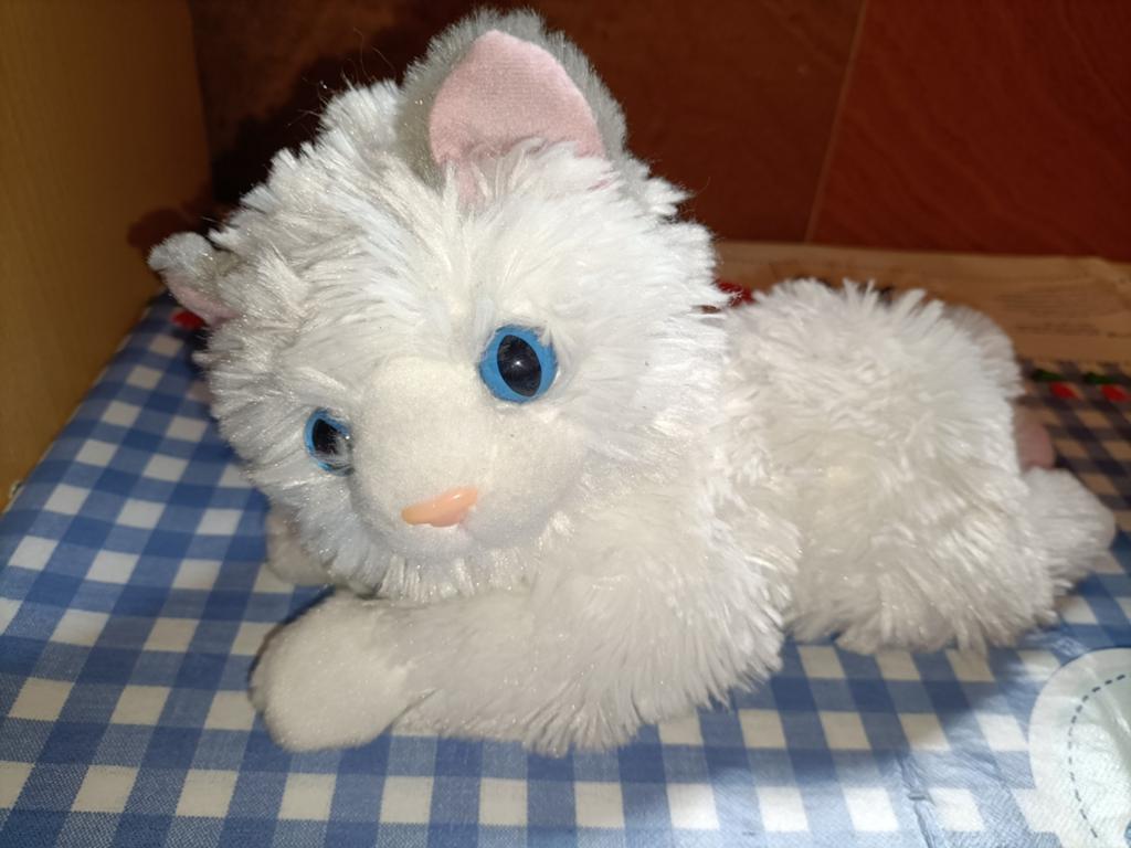 Witte kitten knuffel die kan spinnen! 27 cm groot, Ophalen of Verzenden, Zo goed als nieuw, Overige typen