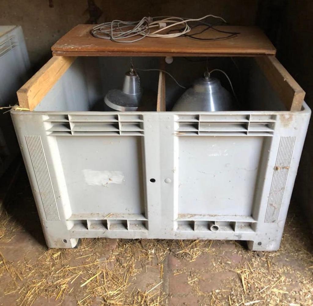 Kuiken opfokhokken palletbox, Ophalen, Gebruikt, Kippenhok of Kippenren