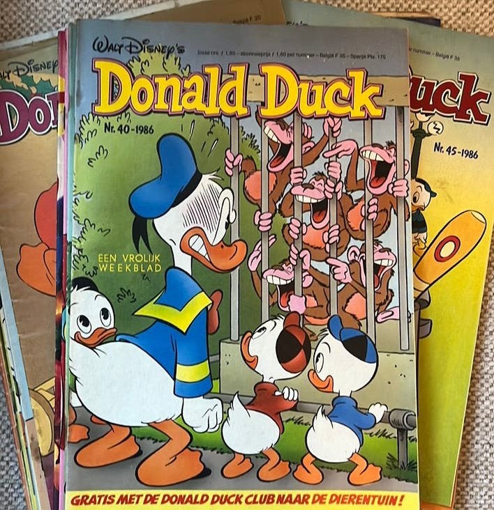 Veel oude donald ducks, ook conplete jaargang en pockets, Meerdere comics, Ophalen of Verzenden, Gelezen, Europa