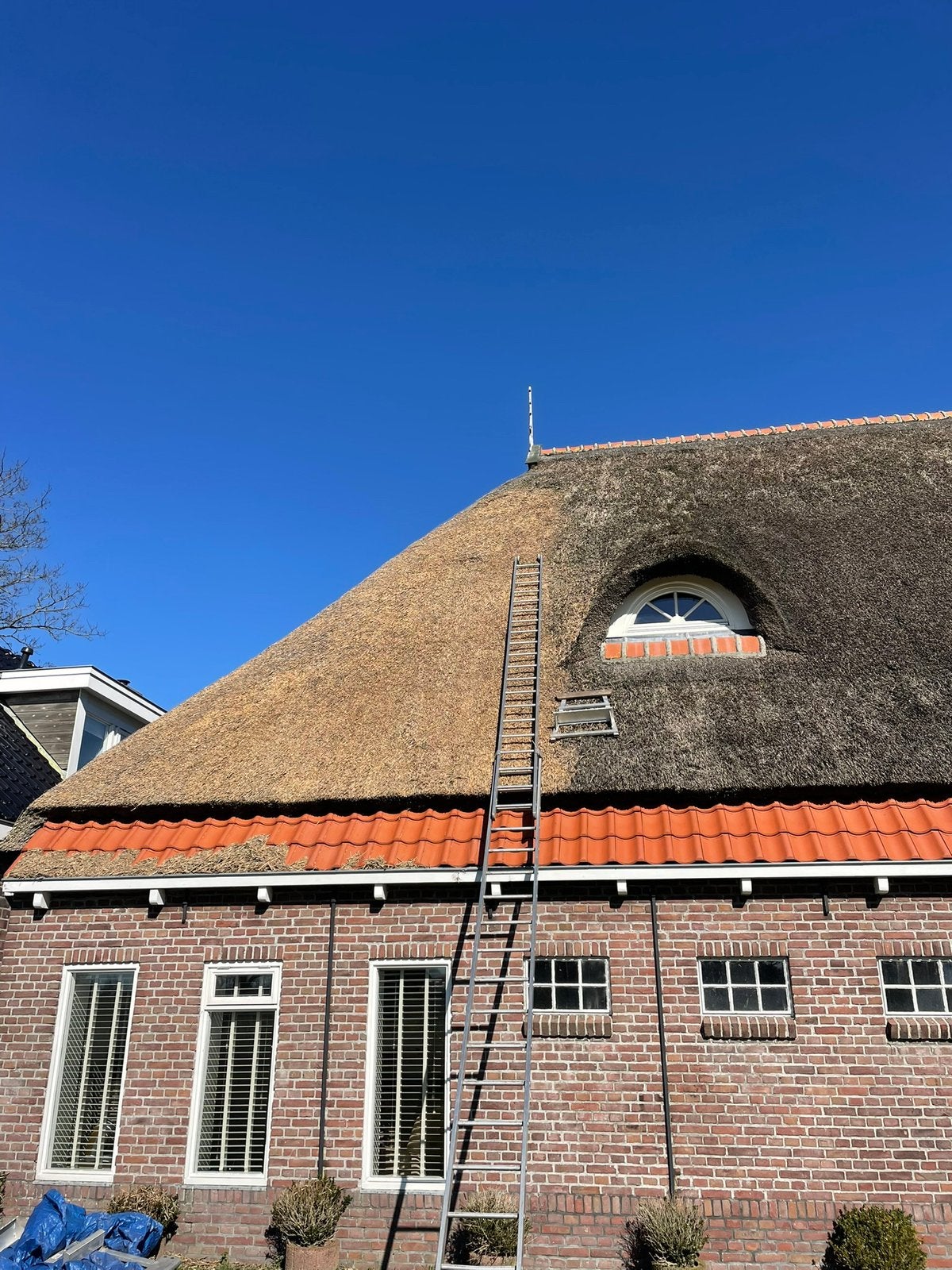 Rietdak onderhoud/schade herstel., Riet