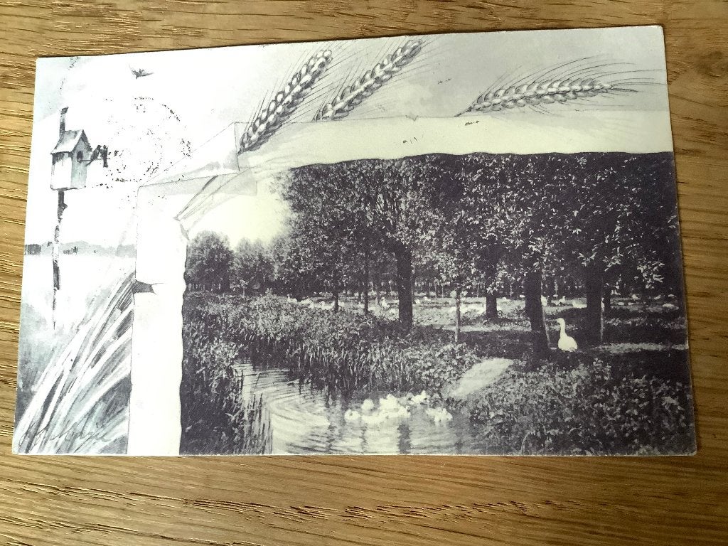 Leiden 1906 eend met kroost, Ophalen of Verzenden, Voor 1920, Gelopen, Zuid-Holland