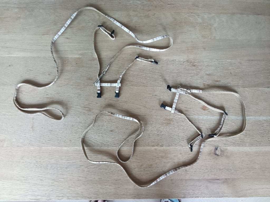 2 kitten tuigjes, Ophalen of Verzenden, Zo goed als nieuw