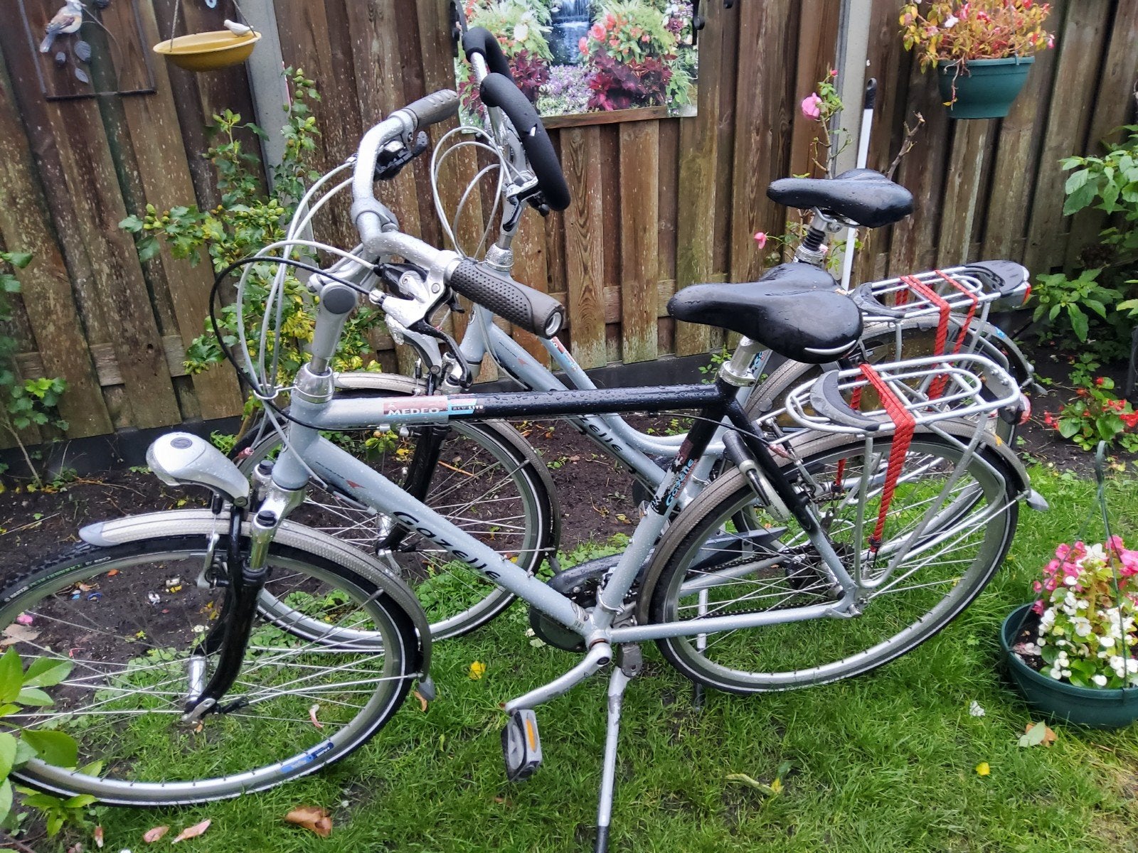 Set here en dames gazelle versnellingen, Ophalen, Versnellingen, Zo goed als nieuw, 57 tot 61 cm